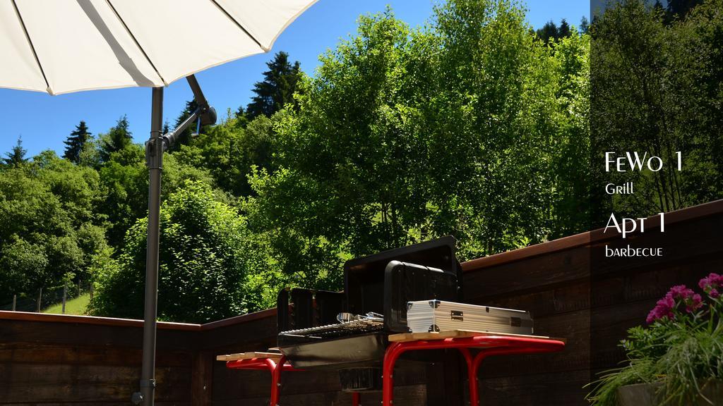 Ferienhaus Auschmiede Hollersbach im Pinzgau Kültér fotó